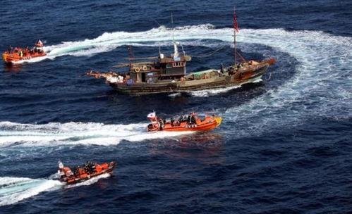 渔船黑暗爆料视频大全集,渔船爆料视频大全集深度解析