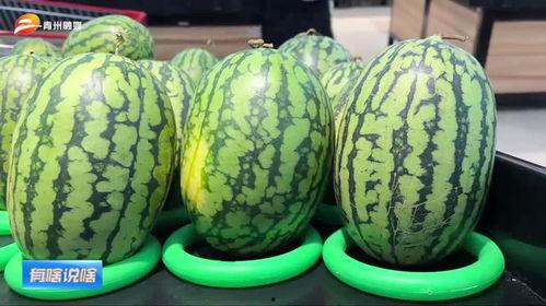 潍坊吃瓜网红有哪些,潍坊网红吃瓜达人盘点  第2张