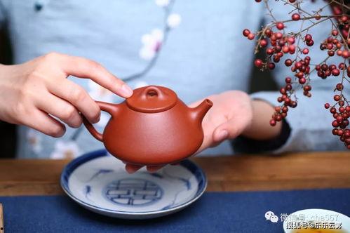 壶人最新爆料,揭秘娱乐圈惊天秘密！